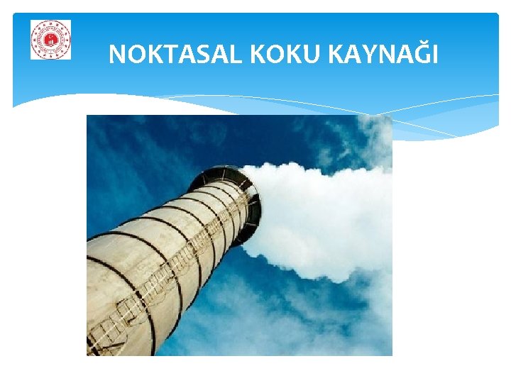 NOKTASAL KOKU KAYNAĞI 