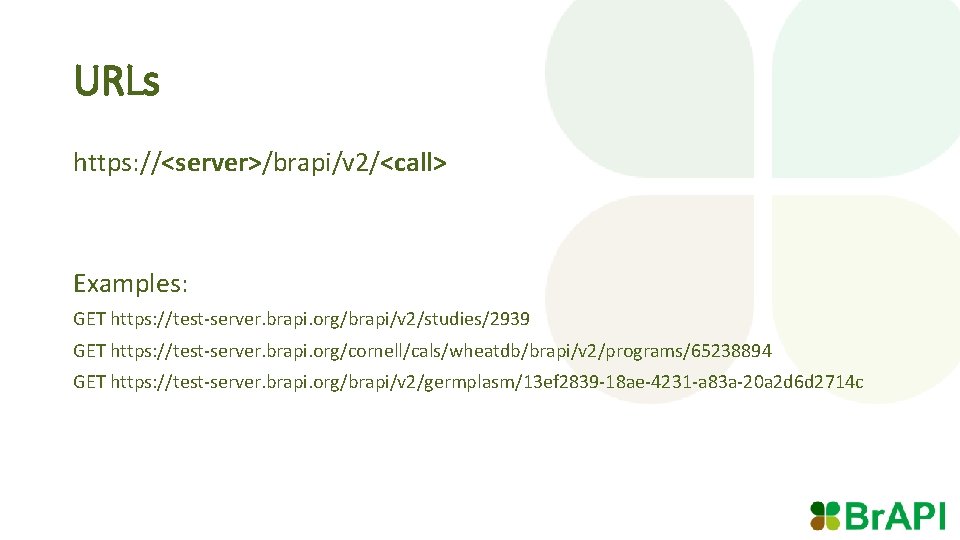 URLs https: //<server>/brapi/v 2/<call> Examples: GET https: //test-server. brapi. org/brapi/v 2/studies/2939 GET https: //test-server.