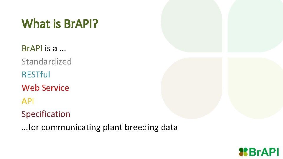 What is Br. API? Br. API is a … Standardized RESTful Web Service API