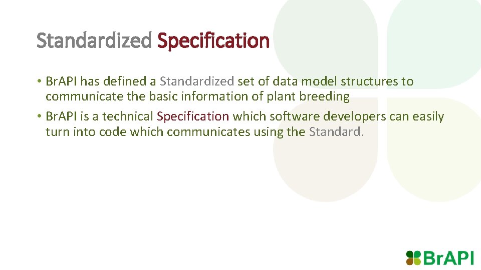 Standardized Specification • Br. API has defined a Standardized set of data model structures