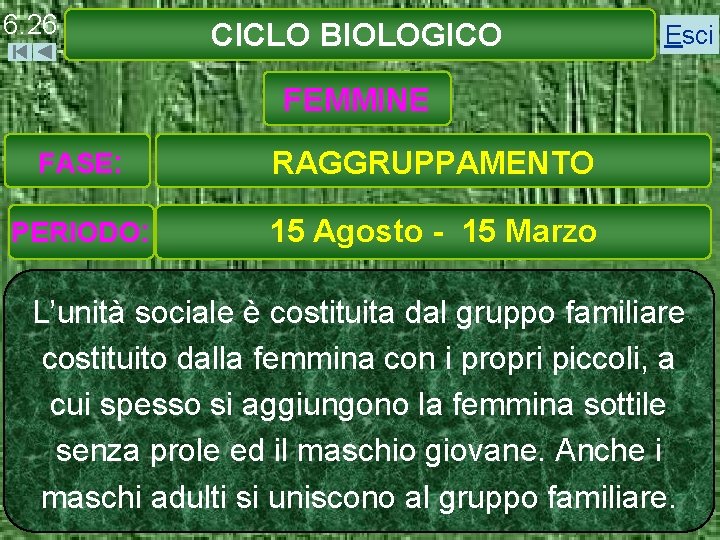 6. 26 CICLO BIOLOGICO Esci FEMMINE FASE: RAGGRUPPAMENTO PERIODO: 15 Agosto - 15 Marzo