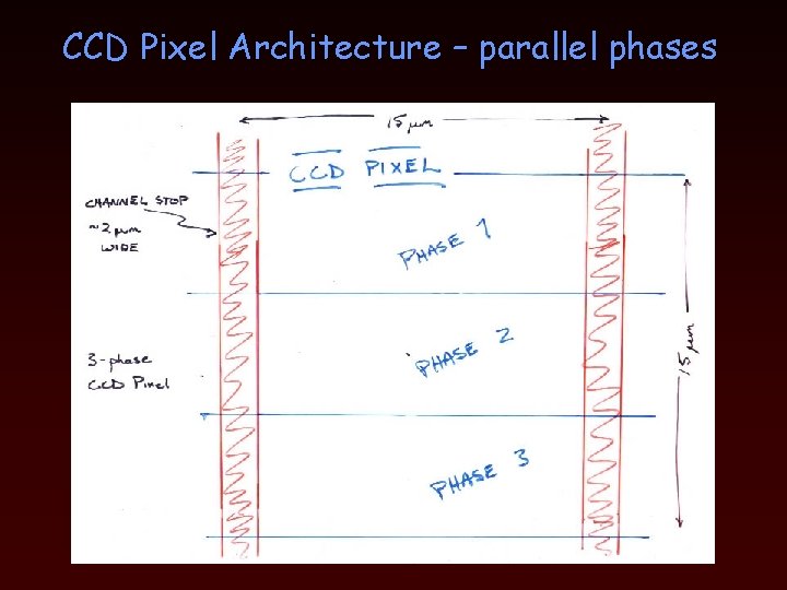 CCD Pixel Architecture – parallel phases 