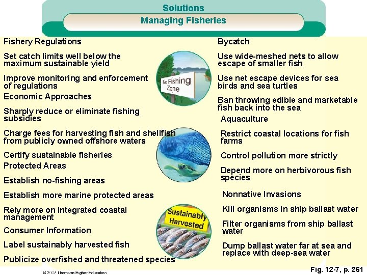 Solutions Managing Fisheries Fishery Regulations Bycatch Set catch limits well below the maximum sustainable