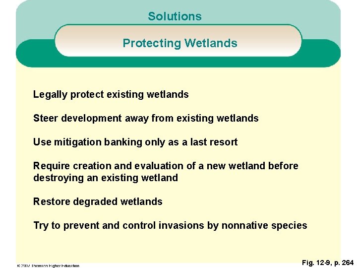 Solutions Protecting Wetlands Legally protect existing wetlands Steer development away from existing wetlands Use