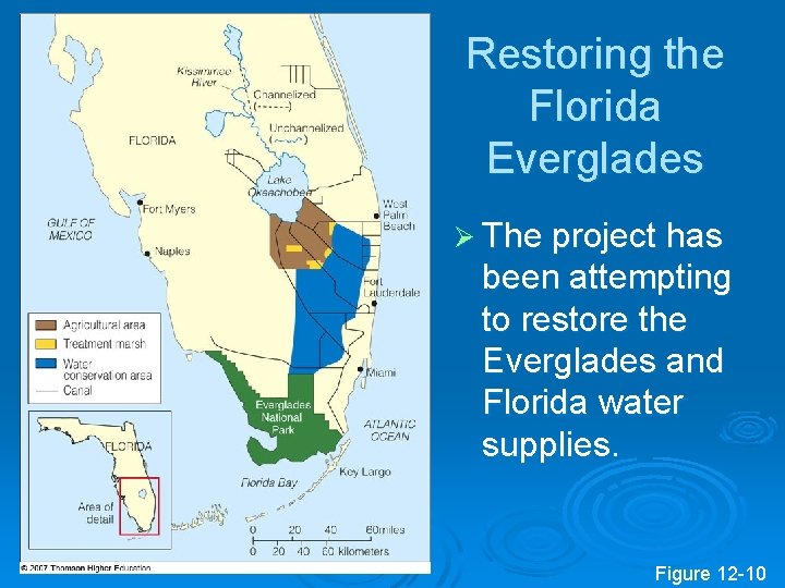 Restoring the Florida Everglades Ø The project has been attempting to restore the Everglades