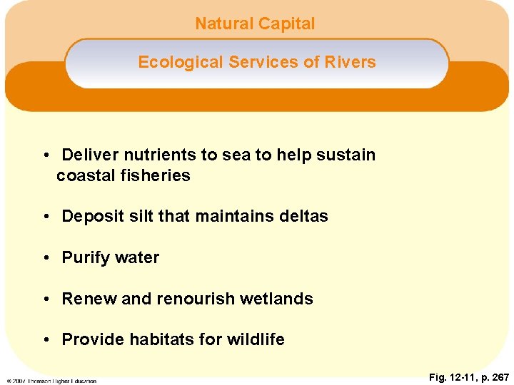Natural Capital Ecological Services of Rivers • Deliver nutrients to sea to help sustain
