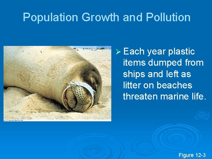 Population Growth and Pollution Ø Each year plastic items dumped from ships and left