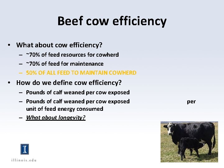 Beef cow efficiency • What about cow efficiency? – ~70% of feed resources for