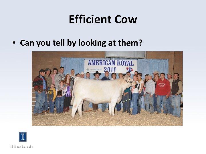 Efficient Cow • Can you tell by looking at them? 