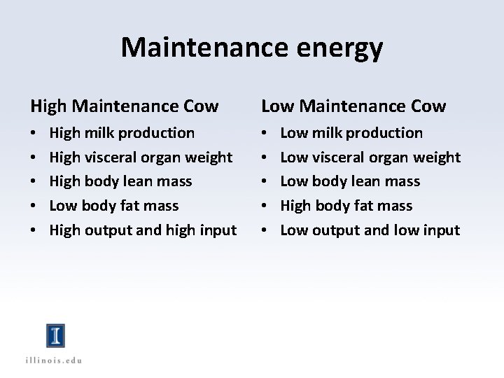 Maintenance energy High Maintenance Cow • • • High milk production High visceral organ