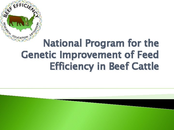 National Program for the Genetic Improvement of Feed Efficiency in Beef Cattle 