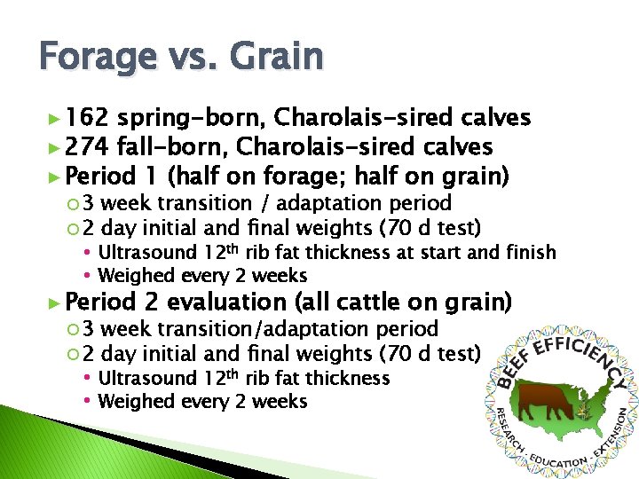 Forage vs. Grain ► 162 spring-born, Charolais-sired calves ► 274 fall-born, Charolais-sired calves ►