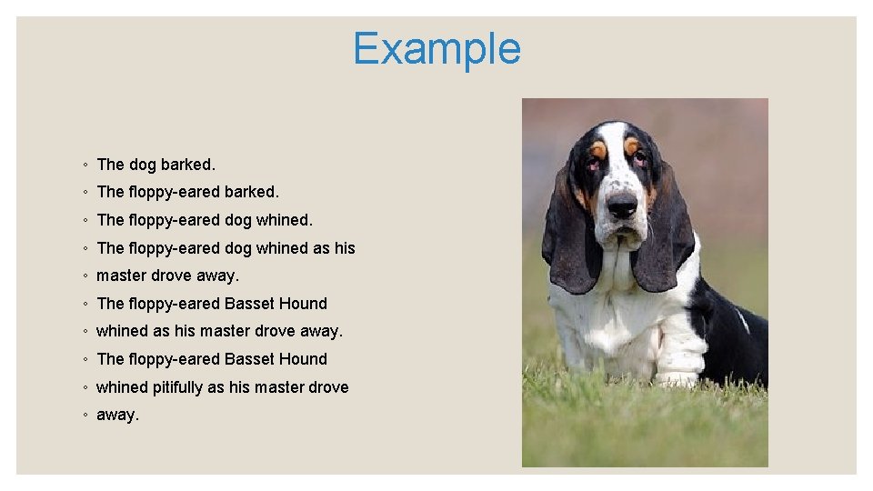Example ◦ The dog barked. ◦ The floppy-eared dog whined as his ◦ master