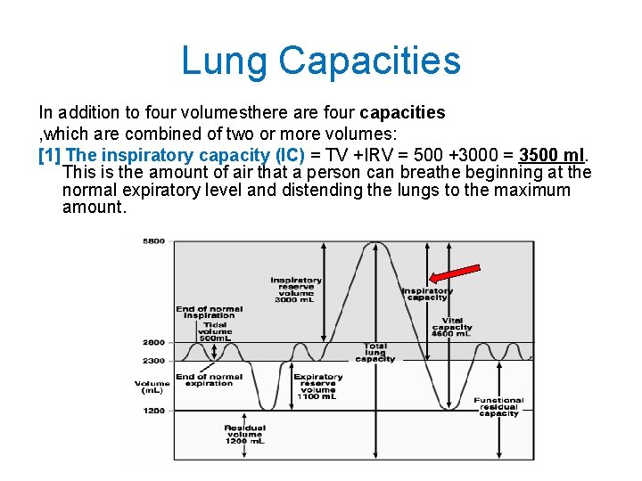 Lung Capacities In addition to four volumesthere are four capacities , which are combined
