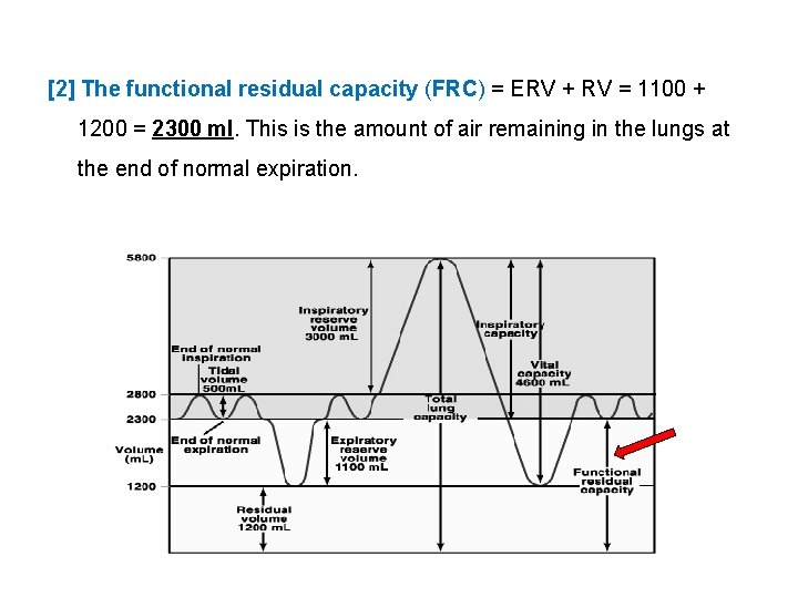 [2] The functional residual capacity (FRC) = ERV + RV = 1100 + 1200