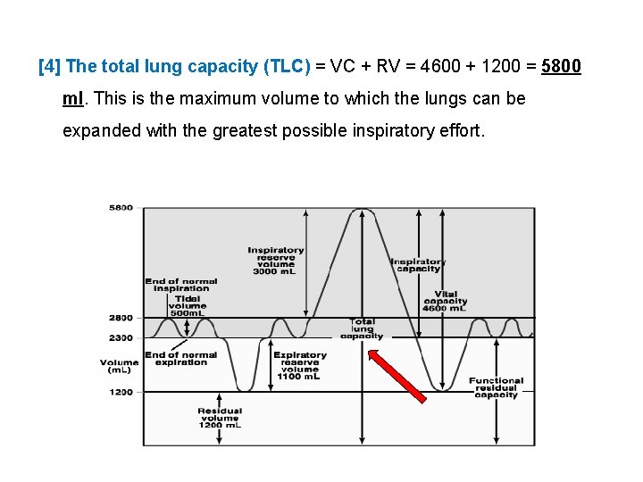 [4] The total lung capacity (TLC) = VC + RV = 4600 + 1200