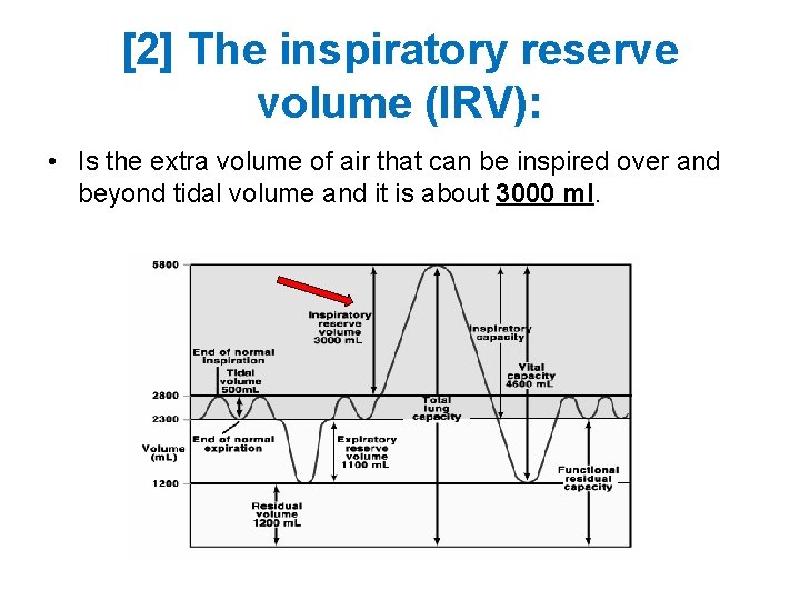 [2] The inspiratory reserve volume (IRV): • Is the extra volume of air that