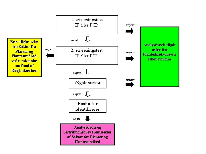 1. screeningstest IF eller PCR Brev tilgår avler fra Sektor fra Planter og Plantesundhed