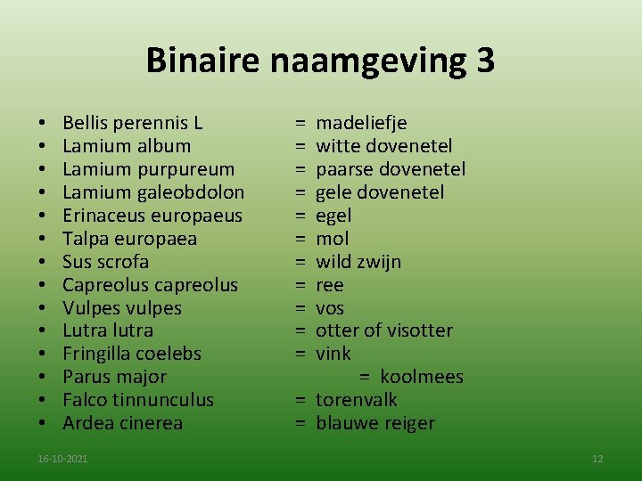 Binaire naamgeving 3 • • • • Bellis perennis L Lamium album Lamium purpureum