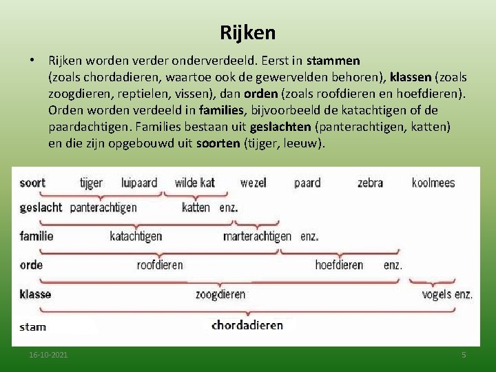 Rijken • Rijken worden verder onderverdeeld. Eerst in stammen (zoals chordadieren, waartoe ook de