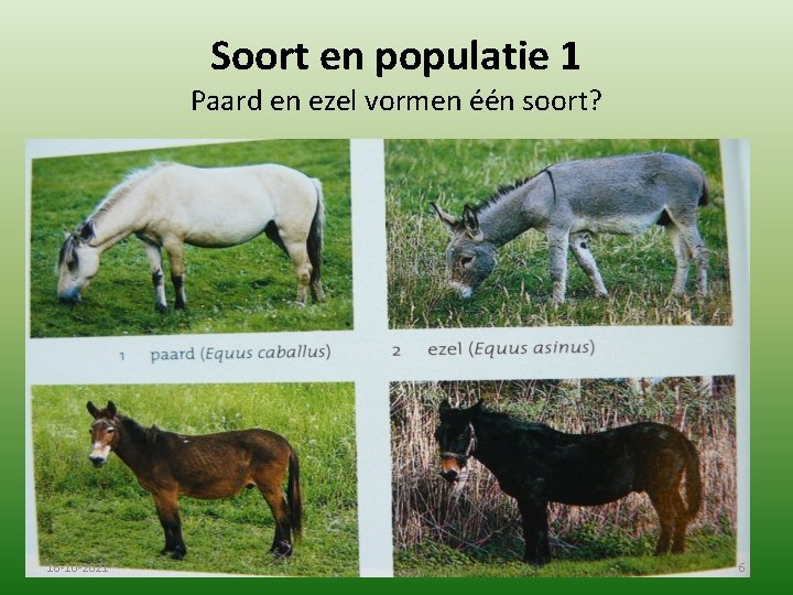 Soort en populatie 1 Paard en ezel vormen één soort? 16 -10 -2021 6