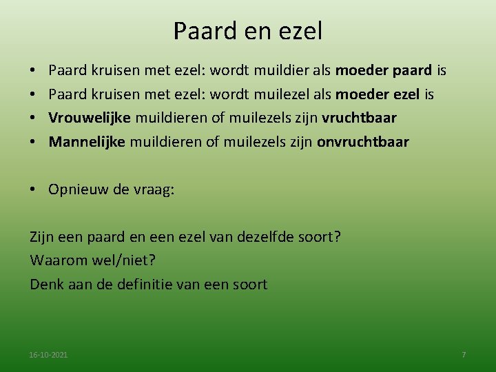 Paard en ezel • • Paard kruisen met ezel: wordt muildier als moeder paard