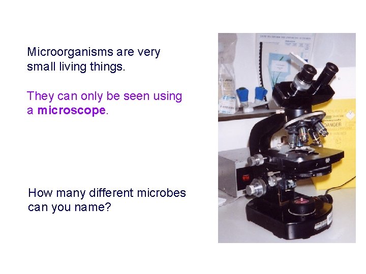 Microorganisms are very small living things. They can only be seen using a microscope.