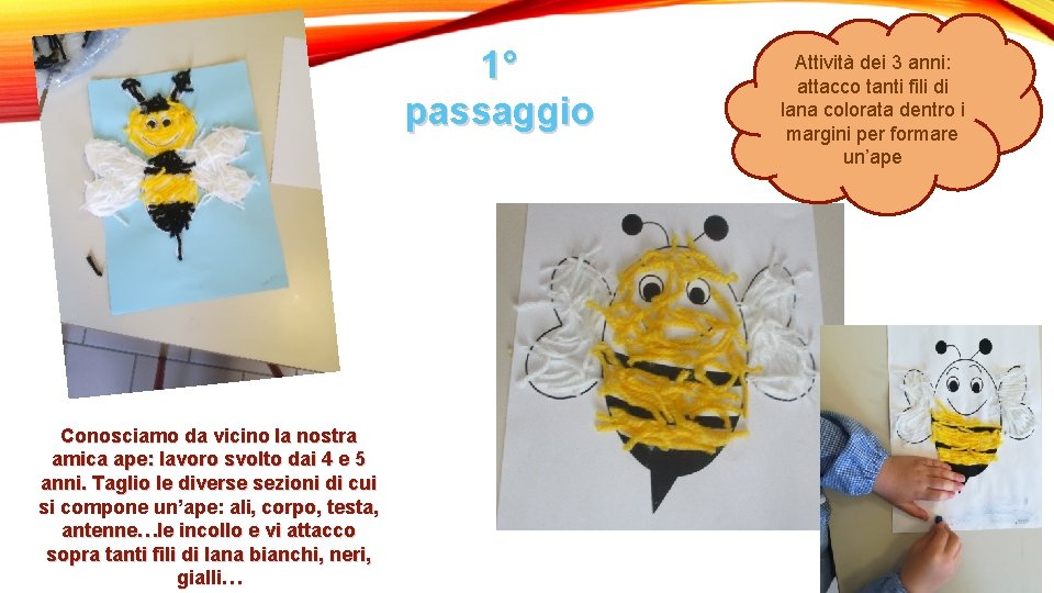 1° passaggio Conosciamo da vicino la nostra amica ape: lavoro svolto dai 4 e