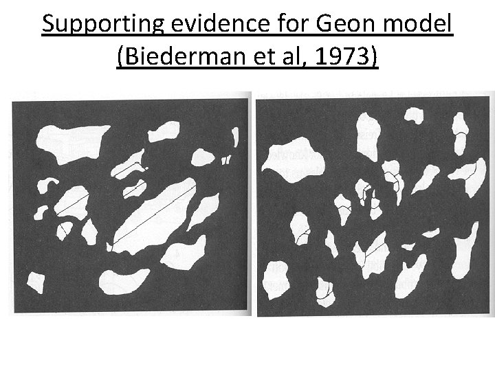 Supporting evidence for Geon model (Biederman et al, 1973) 
