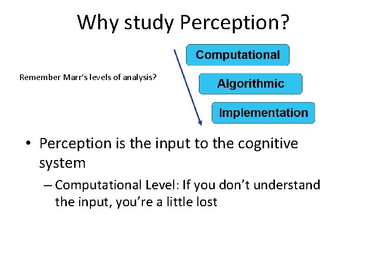 Why study Perception? Remember Marr’s levels of analysis? • Perception is the input to