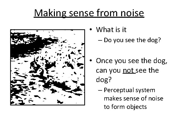 Making sense from noise • What is it – Do you see the dog?