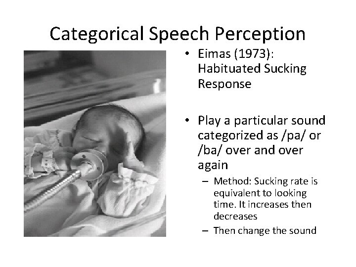 Categorical Speech Perception • Eimas (1973): Habituated Sucking Response • Play a particular sound