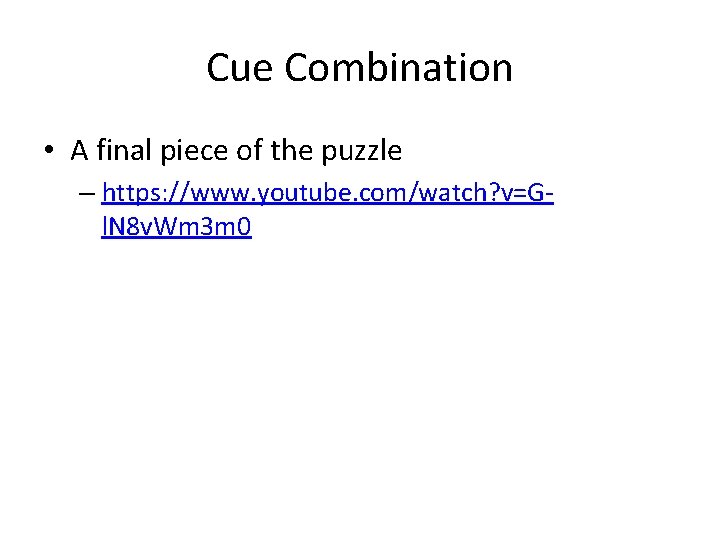 Cue Combination • A final piece of the puzzle – https: //www. youtube. com/watch?