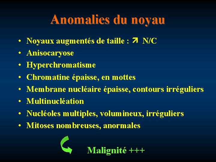 Anomalies du noyau • • Noyaux augmentés de taille : N/C Anisocaryose Hyperchromatisme Chromatine