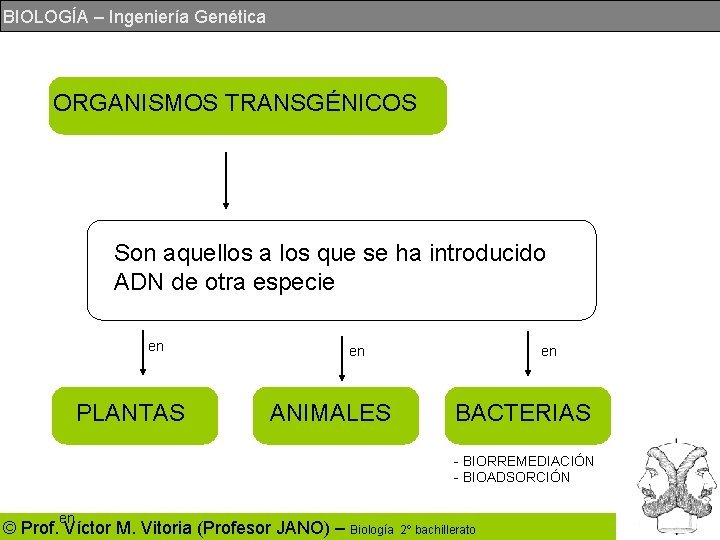 BIOLOGÍA – Ingeniería Genética ORGANISMOS TRANSGÉNICOS Son aquellos a los que se ha introducido