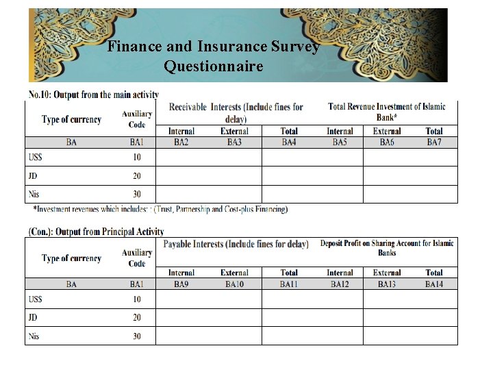 Finance and Insurance Survey Questionnaire 