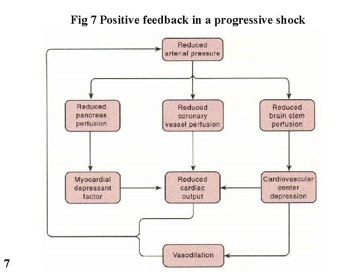 Fig 7 Positive feedback in a progressive shock 7 Fig 7 Positive feedback in a progressive shock 7