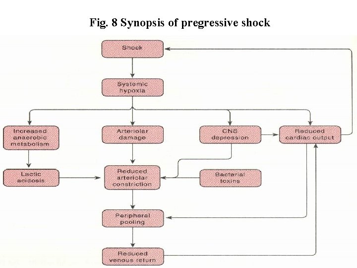 Fig. 8 Synopsis of pregressive shock Fig. 8 Synopsis of pregressive shock