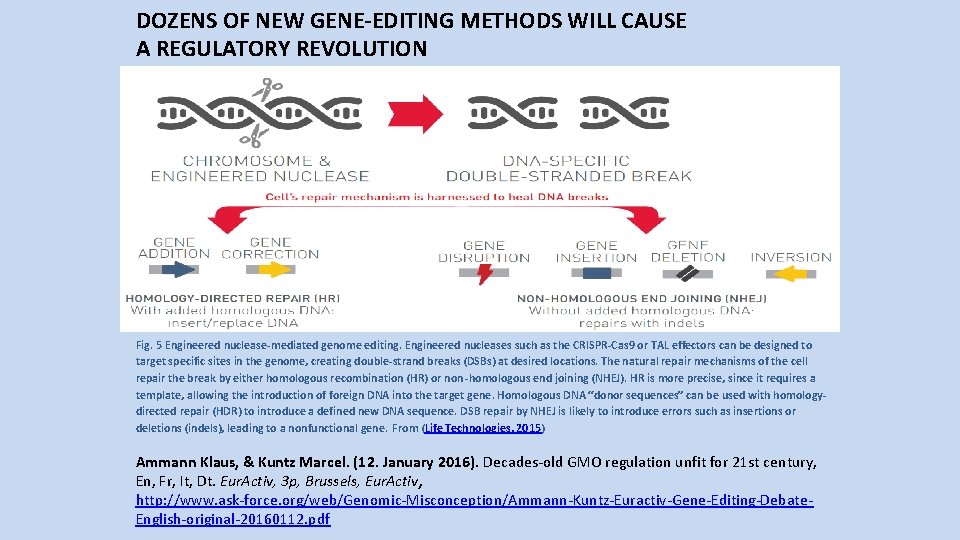 DOZENS OF NEW GENE-EDITING METHODS WILL CAUSE A REGULATORY REVOLUTION Fig. 5 Engineered nuclease-mediated