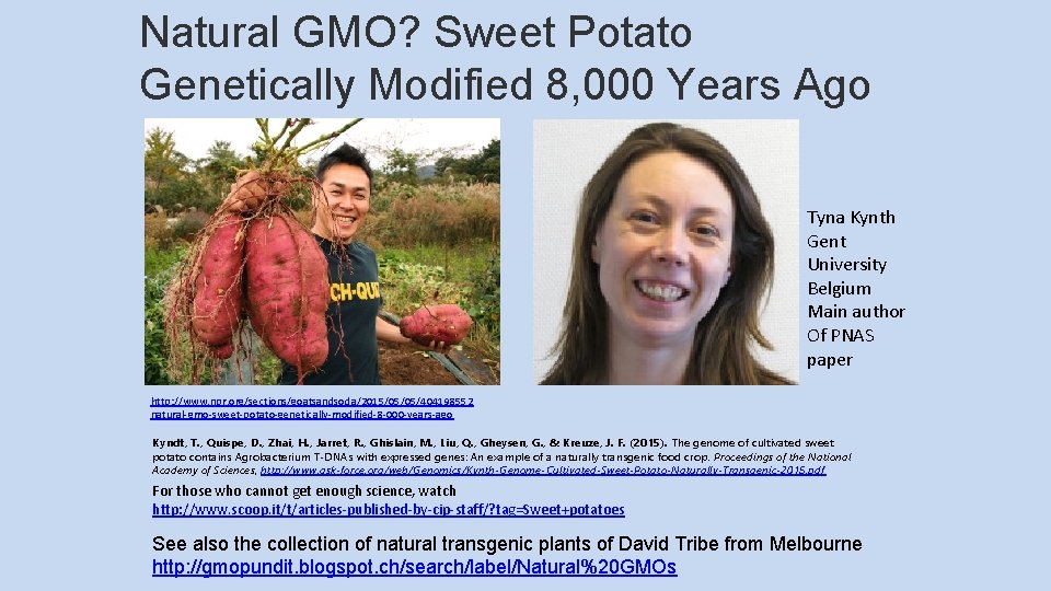 Natural GMO? Sweet Potato Genetically Modified 8, 000 Years Ago Tyna Kynth Gent University