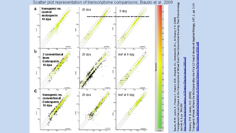 transgenic vs. control endosperm 14 dpa 28 dpa 8 dpg Baudo: comparison in genomic