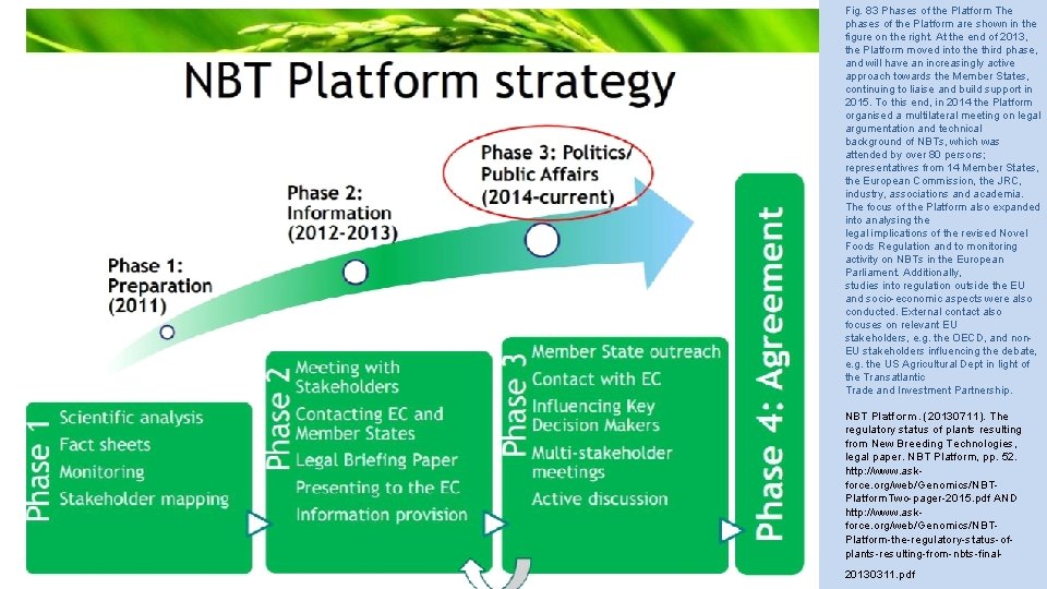 Fig. 83 Phases of the Platform The phases of the Platform are shown in