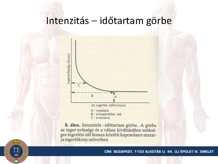 Intenzitás – időtartam görbe 