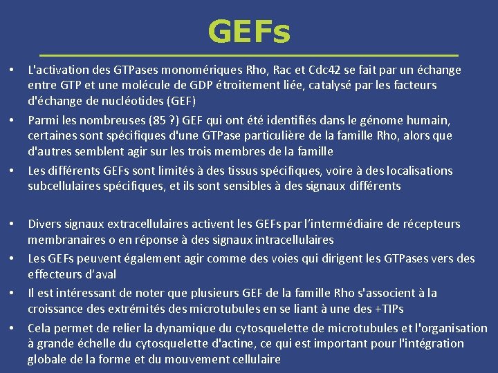 GEFs • • L'activation des GTPases monomériques Rho, Rac et Cdc 42 se fait