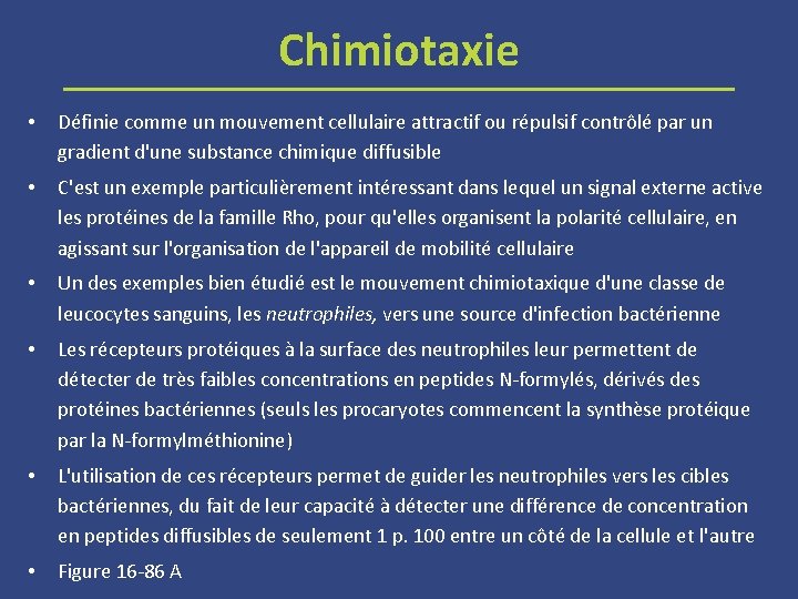 Chimiotaxie • Définie comme un mouvement cellulaire attractif ou répulsif contrôlé par un gradient