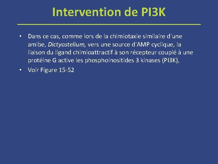 Intervention de PI 3 K • Dans ce cas, comme lors de la chimiotaxie