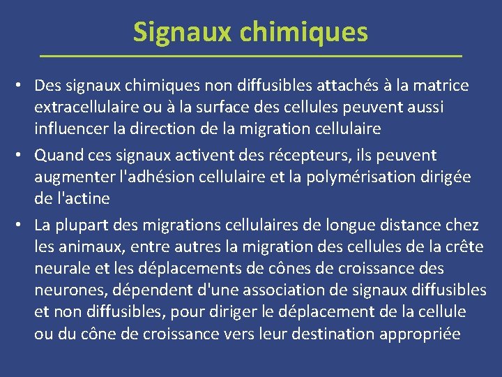 Signaux chimiques • Des signaux chimiques non diffusibles attachés à la matrice extracellulaire ou