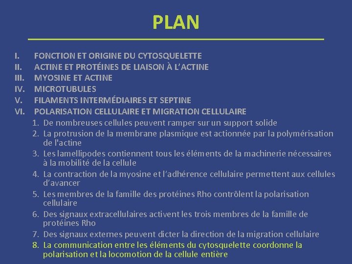 PLAN I. III. IV. V. VI. FONCTION ET ORIGINE DU CYTOSQUELETTE ACTINE ET PROTÉINES