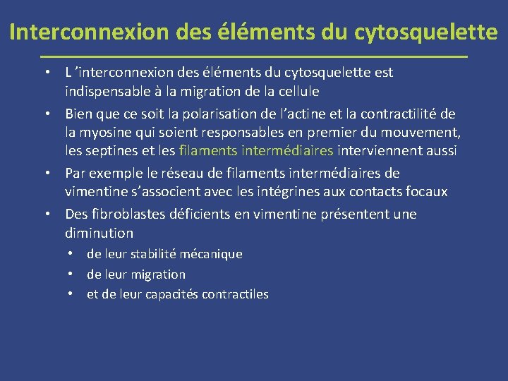 Interconnexion des éléments du cytosquelette • L ’interconnexion des éléments du cytosquelette est indispensable