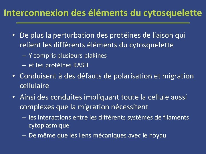 Interconnexion des éléments du cytosquelette • De plus la perturbation des protéines de liaison